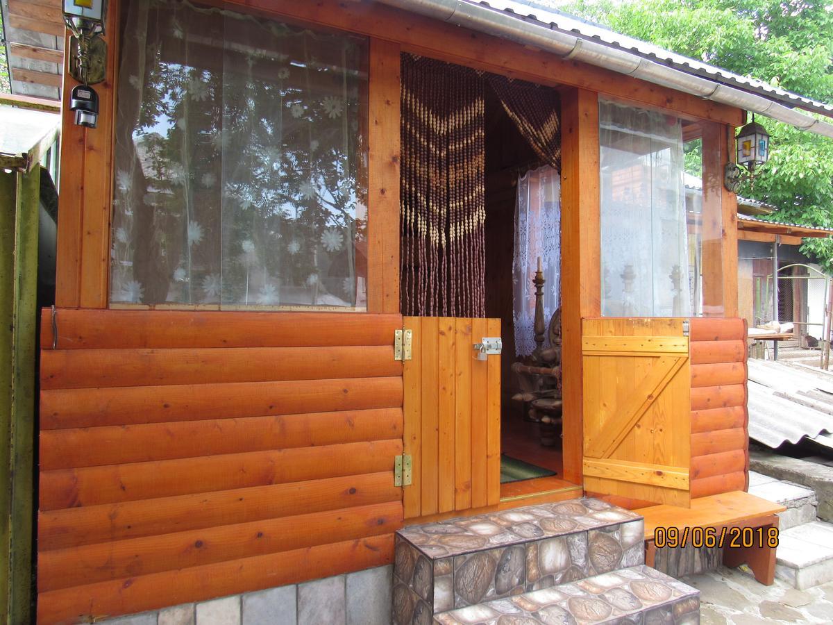 Kotiedzh U Mariny Villa Yaremche Luaran gambar