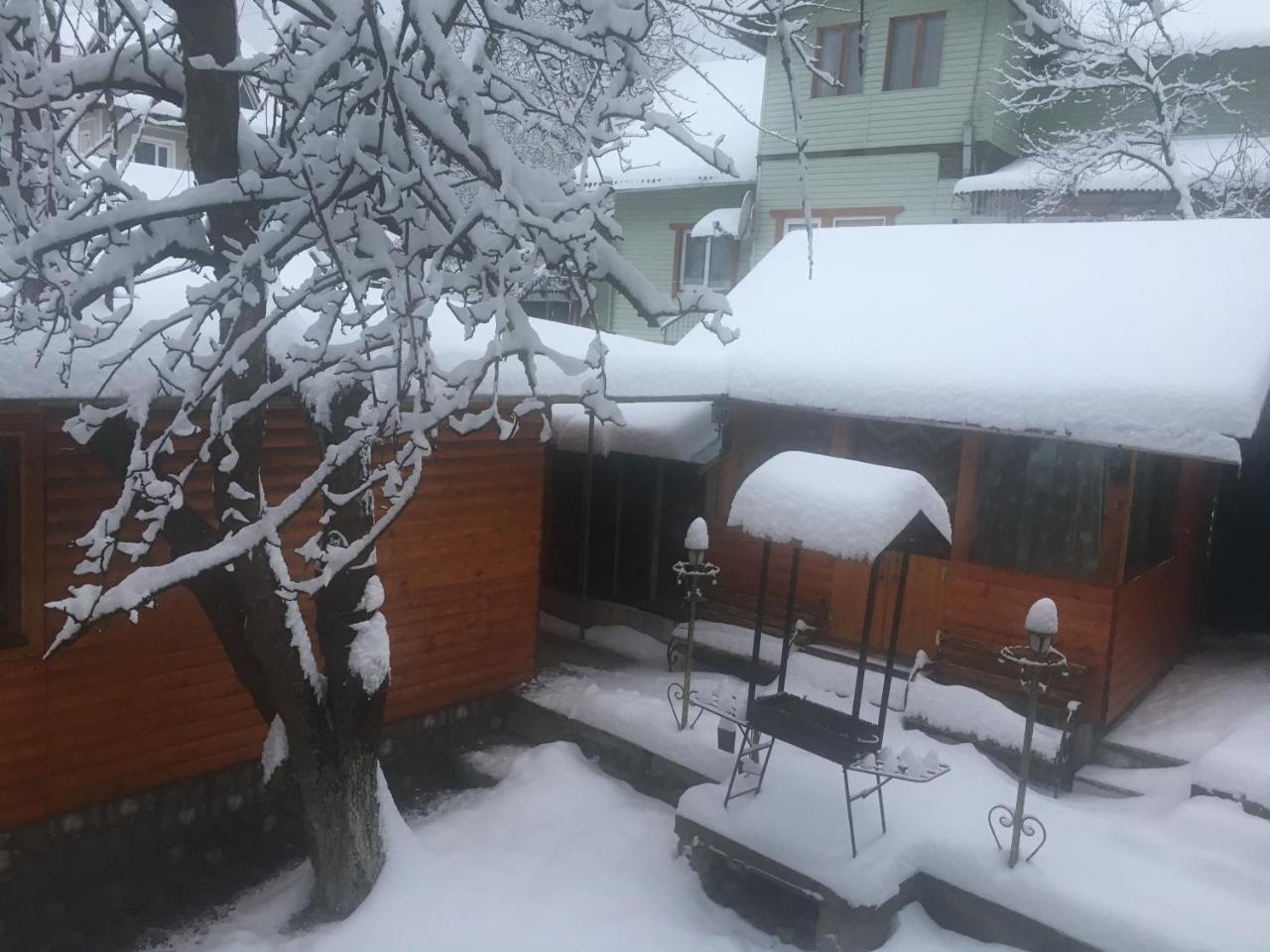 Kotiedzh U Mariny Villa Yaremche Luaran gambar